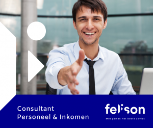 Consultant Personeel & Inkomen